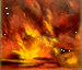 Danse du feu